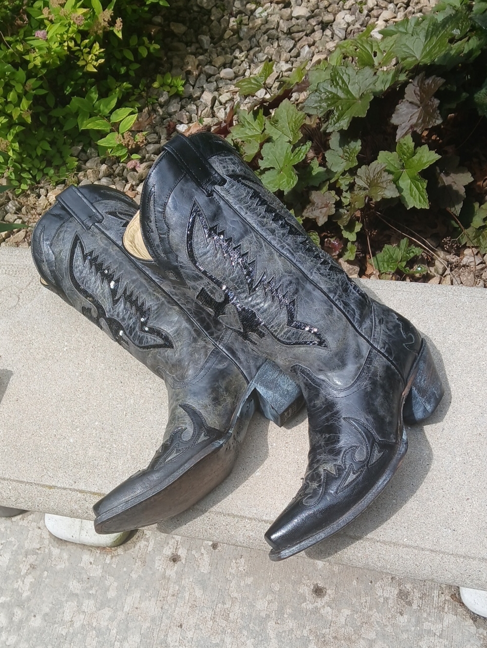Corral Women's Eagle Sequin Inlay Snip Toe Cowgirl Boots model R1003, Sz 9.5 - Picture 6 of 12